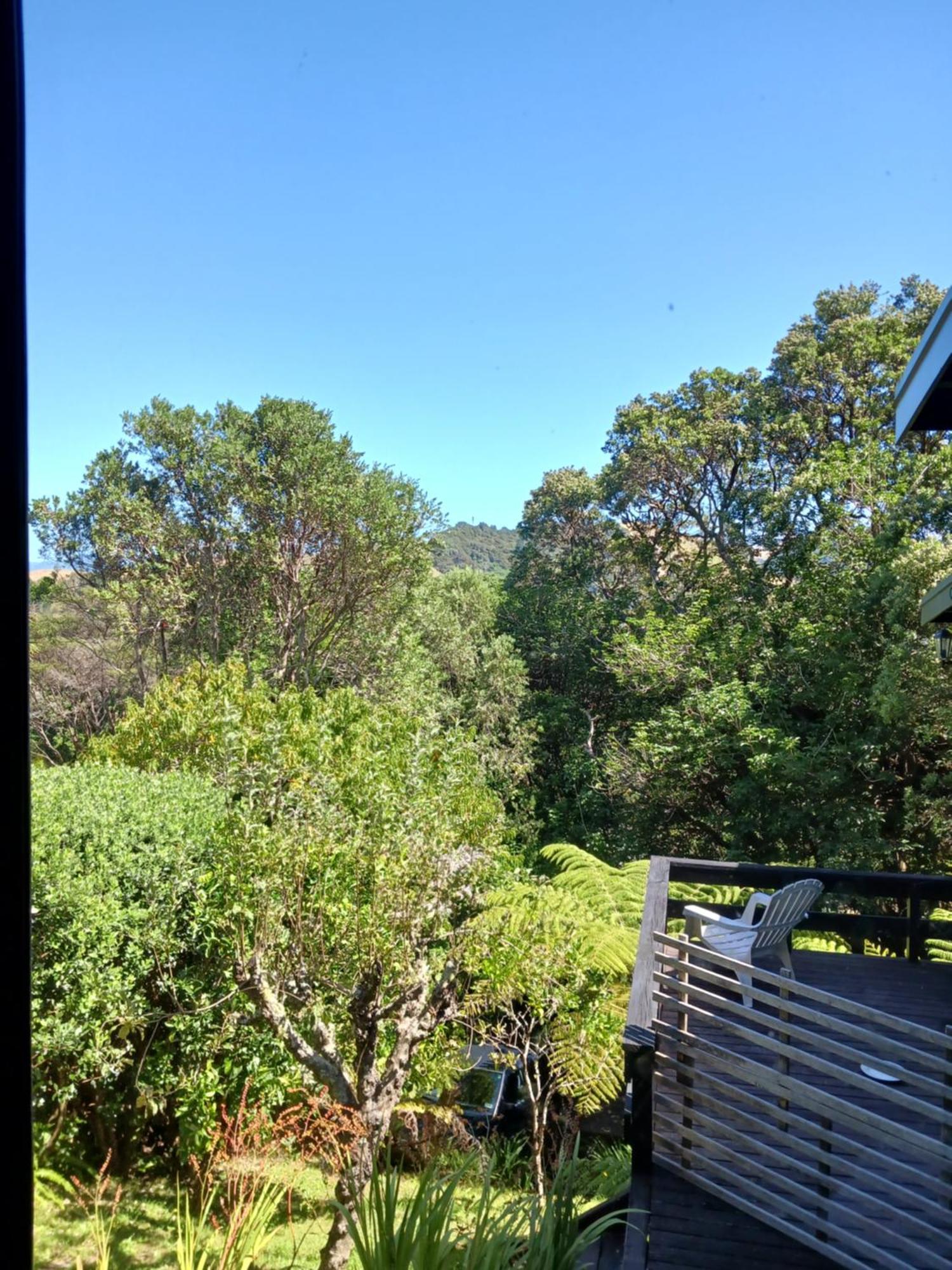 The Annex Bed & Breakfast Whitianga Exterior photo